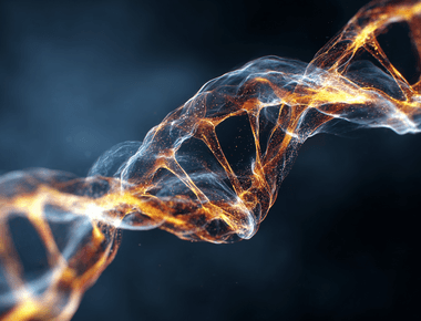 뇌 손상 치료의 미래, 줄기세포와 신경재생의 가능성