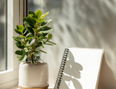 ADHD는 단순한 집중력 문제가 아닙니다 실행 기능 장애의 진실과 극복 방법