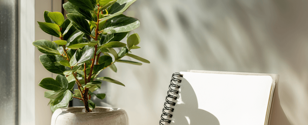 ADHD는 단순한 집중력 문제가 아닙니다 실행 기능 장애의 진실과 극복 방법