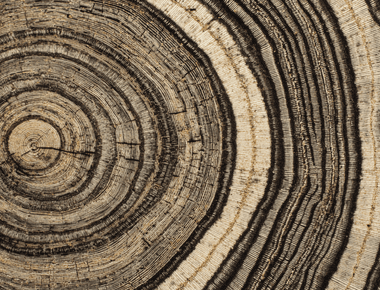 은퇴 후에도 집에서 살고 싶다면? 안정성 운동이 답입니다