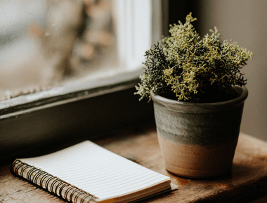 VPN 선택의 고민? 노드VPN vs 서프샤크, 당신에게 꼭 맞는 선택은