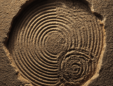 20분 풀바디 스트레칭으로 찾는 유연함과 마음의 평화