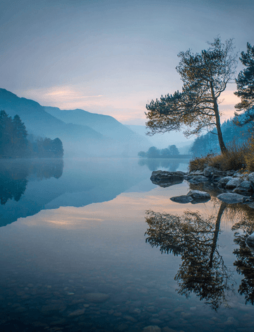 자유를 향한 도전 탈출 불가능한 상황을 뛰어넘는 인간 정신의 승리