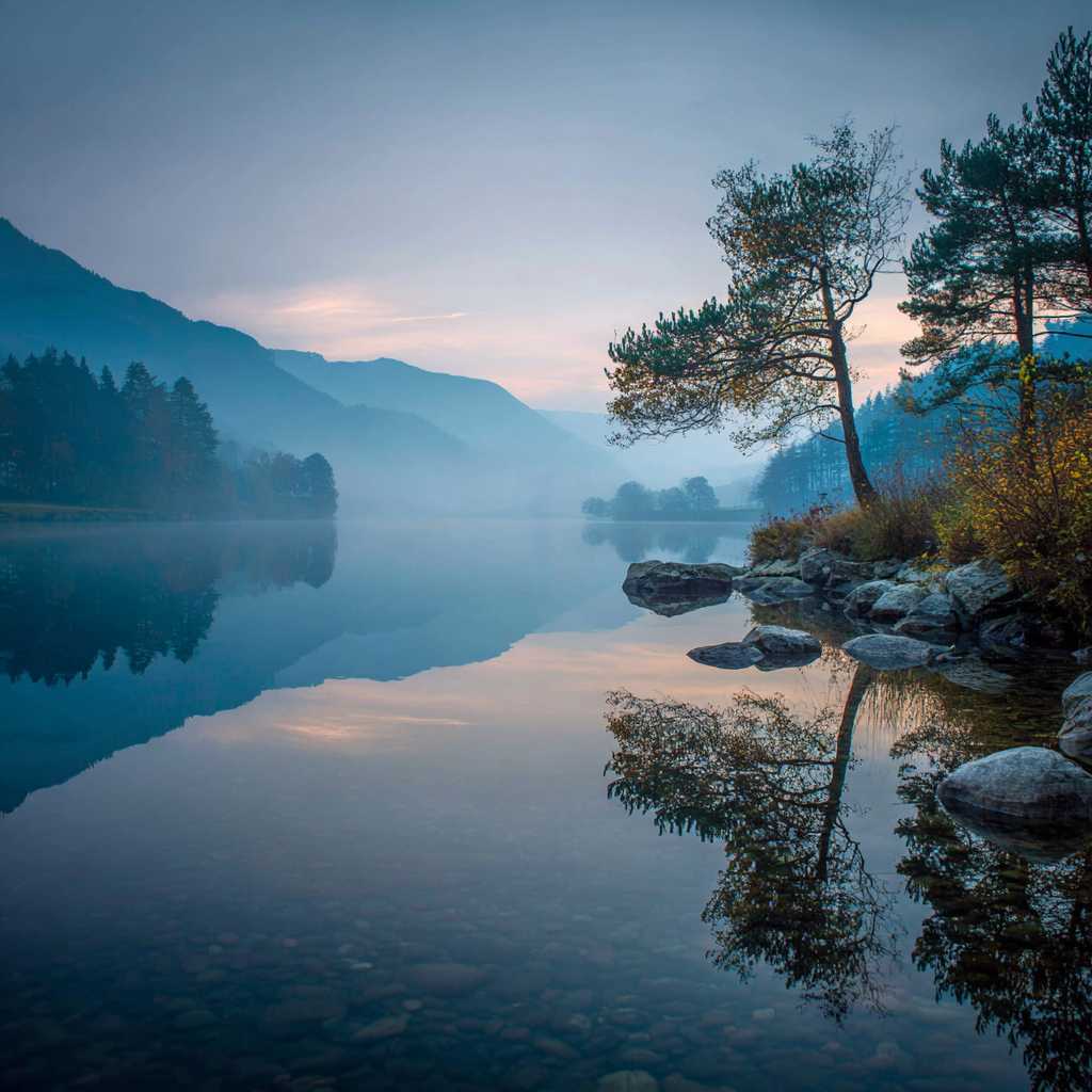 ADHD는 단순한 집중력 문제가 아닙니다 실행 기능 장애의 진실과 극복 방법