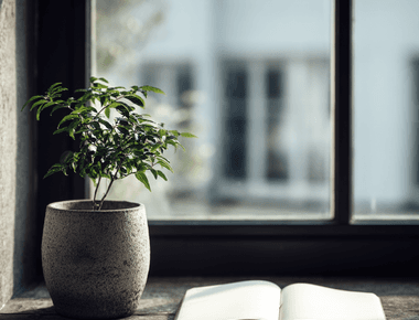 구글 캘린더 완벽 활용법 일정 관리의 달인이 되는 법