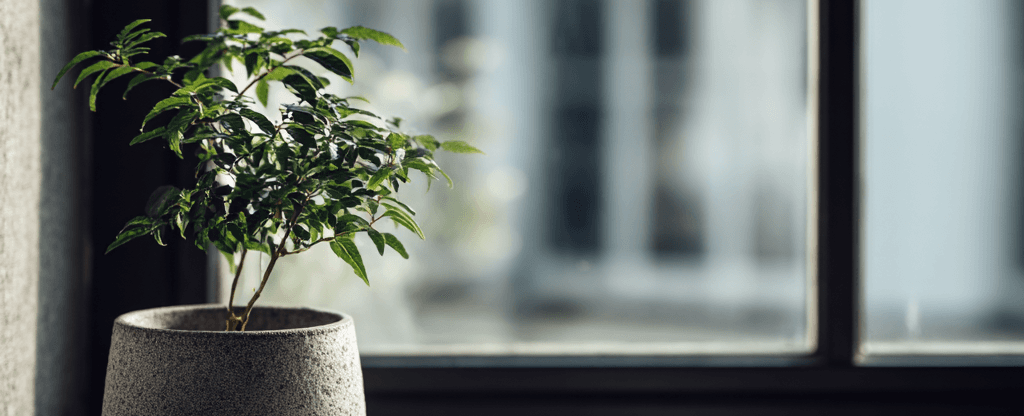 구글 캘린더 완벽 활용법 일정 관리의 달인이 되는 법