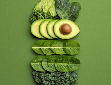 반려견 사료에 숨겨진 위험한 성분 9가지 암을 유발하는 식품의 진실