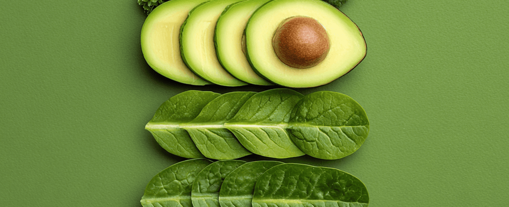 반려견 사료에 숨겨진 위험한 성분 9가지 암을 유발하는 식품의 진실