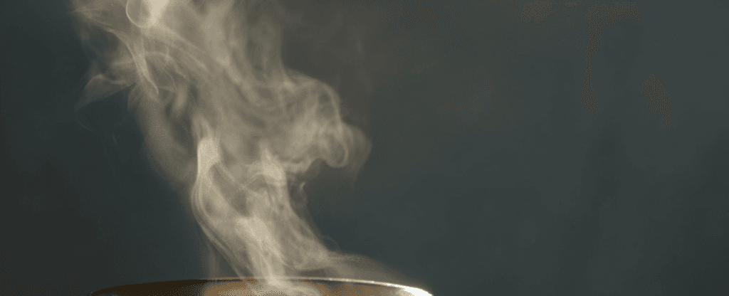 다이어트 전쟁에서 벗어나기 4가지 인기 식단의 객관적 분석